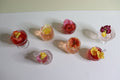 2023 Autumn Harvest, Hawaii Grown Roselle, Kailua, Hawaii